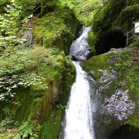 Appartement Sylvianne Ottenhofen im Schwarzwald