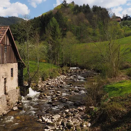 Sylvianne Appartement *